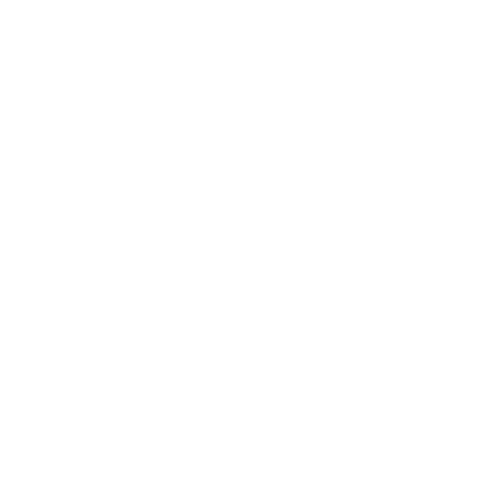 4K Custom Rods